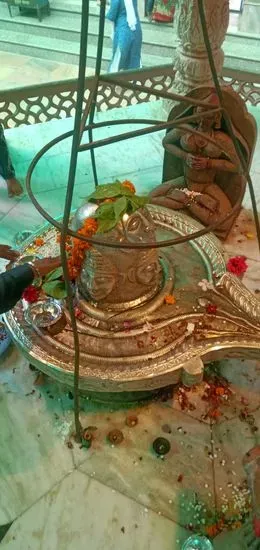 Guru Mahima Shudh Shakari Bhojnalay