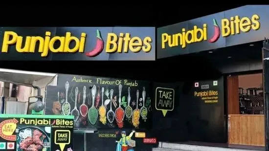 punjabi bites udaipur