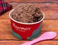 Havmor Icecream Parlour, Chankyapuri