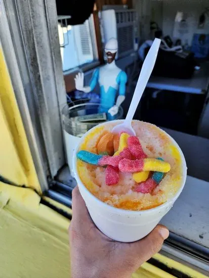 Sno Biz Shaved Ice -