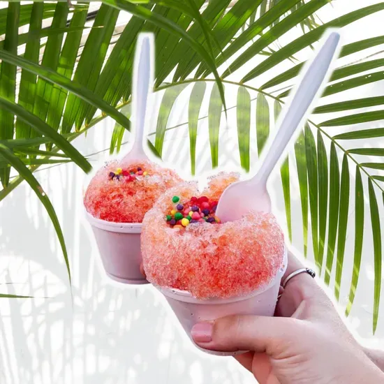 Tropical Moose Shaved Ice