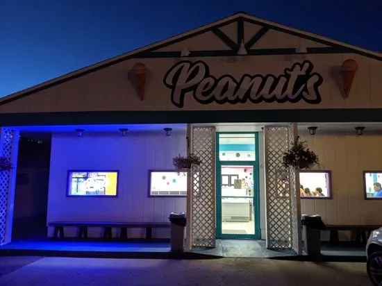 Peanut's Ice Cream and Cookie Dough