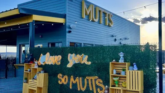 MUTTS El Paso- Dog Park Bar