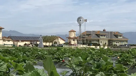 The Farm in Salinas