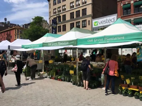 Oak Grove Plantation at Union Square Greenmarket