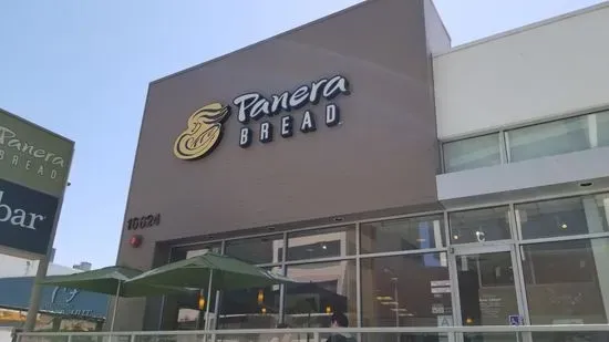 Panera Bread