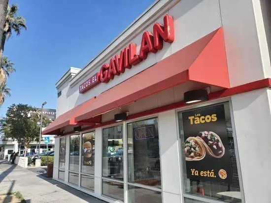 Tacos Gavilan