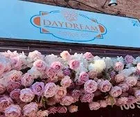 Daydream Coffee Co