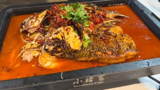 Szechuan Fish 诸葛私厨烤鱼