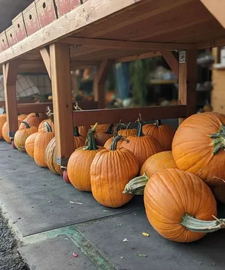 Prey's Fruit Barn